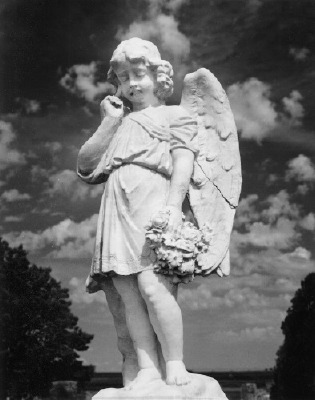 Angel With Broken Wing