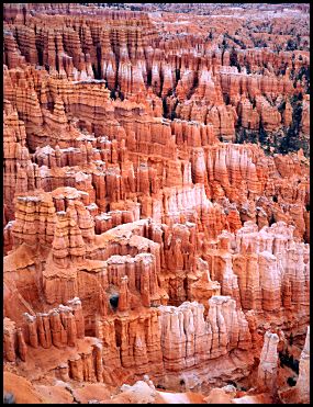 Hoodoos, Bryce Canyon National Park