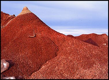 Badlands Fog