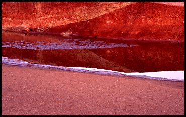 Redbank Reflections